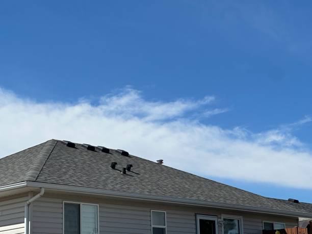 Best Sheet Metal Roofing  in Amherst, TX